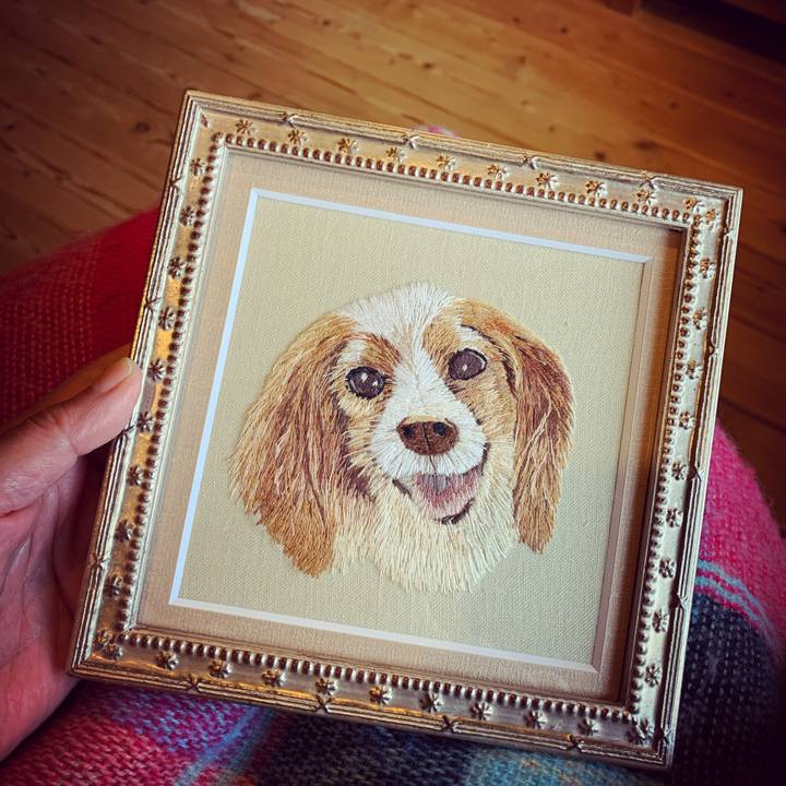 5c67c9db 4ea9 4b6d ba0b 8b9d252eff9b 1635230379691