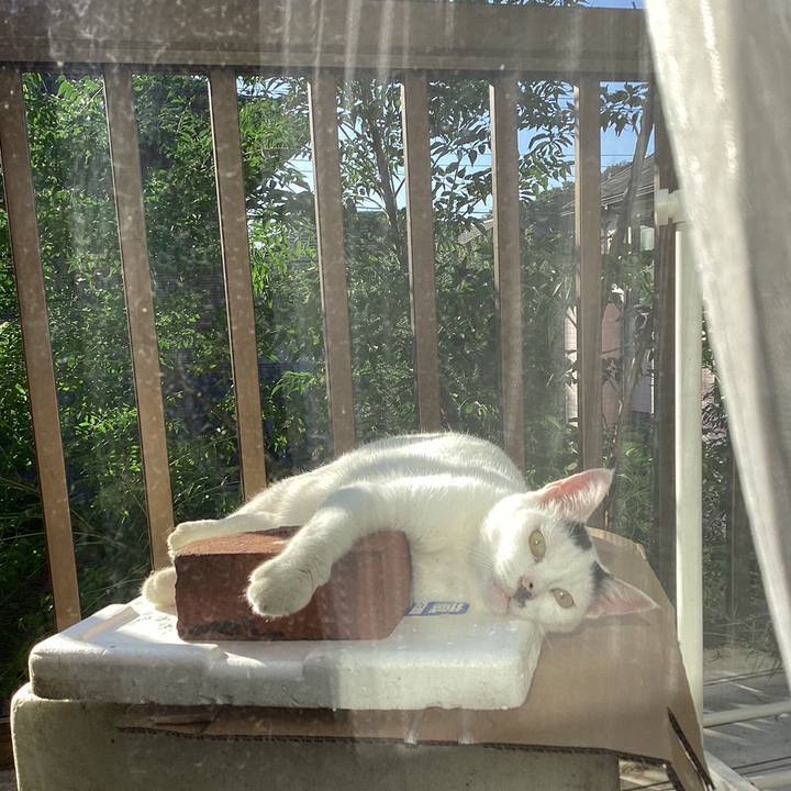 5c67d8be 3171 479b 82cb 4fb28196d4b4 1728960789126