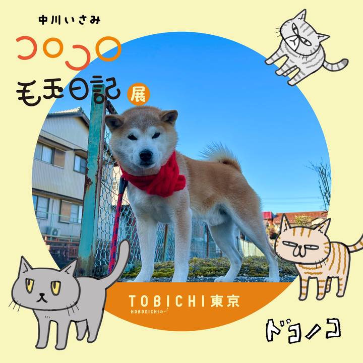 5c67dd48 de17 4906 82e8 b73f463d3e1e 1740136093572