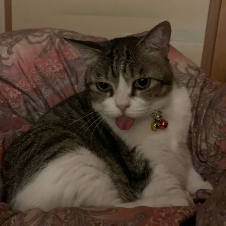 5c67f8a6 6e45 4325 9736 dd4ebfa07520 1603529871934