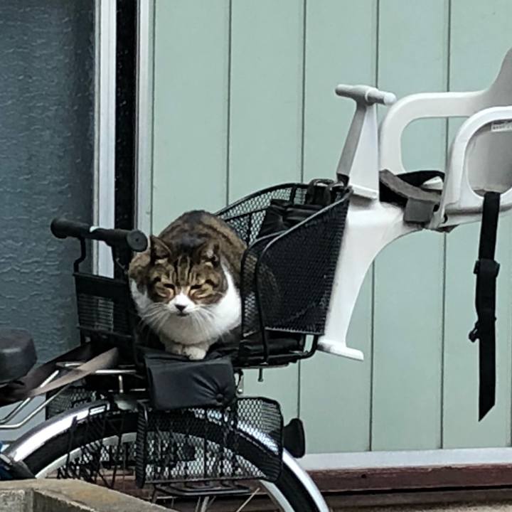 5c67fe84 1f60 414e 9186 e853965f26ba 1515494669916