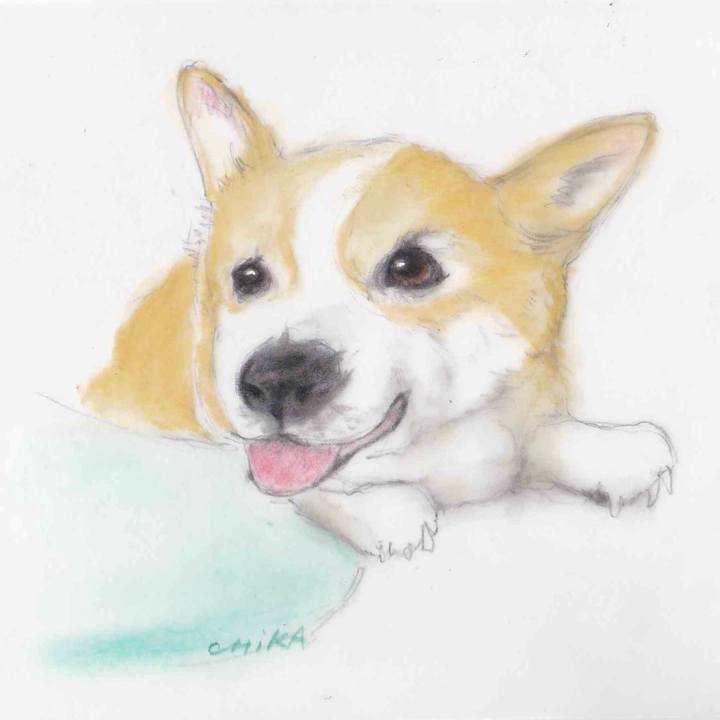 5c682abd e647 4304 a807 1fde54e7b80d 1594135088302