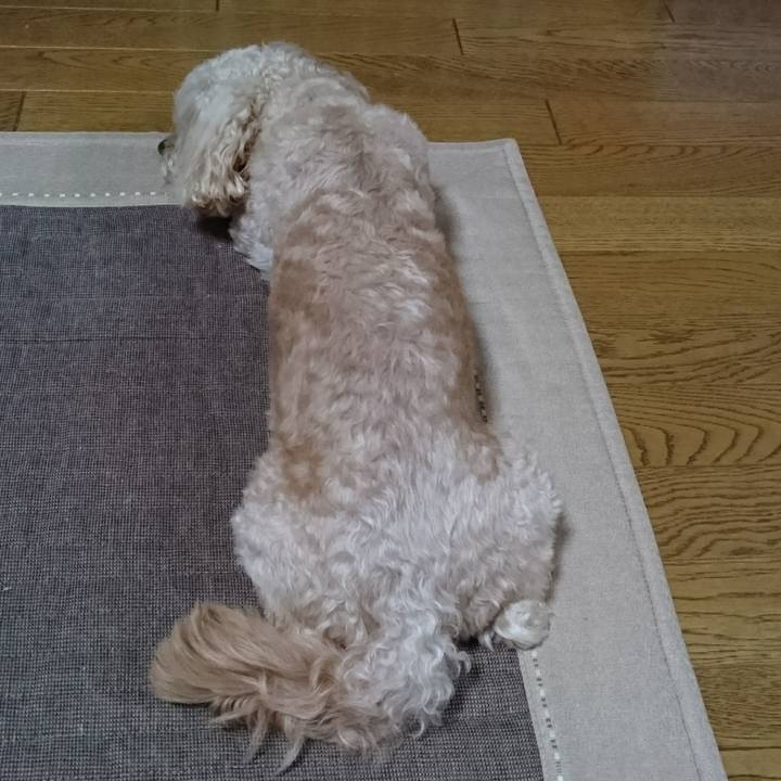 5c68392d 1d03 40a0 83e5 8e53b060db7b 1560673573886