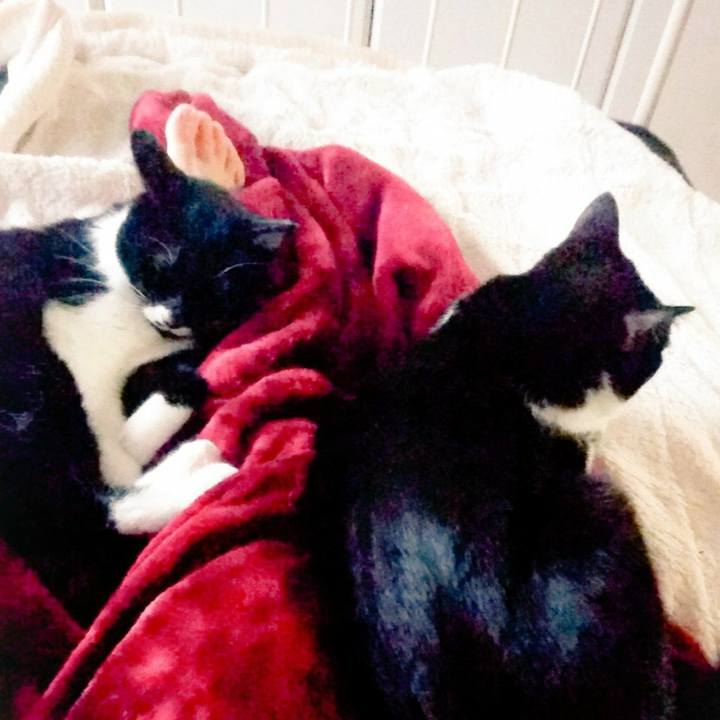 5c6848a8 c91c 4004 8b4d 2b92cfd14497 1507985426077