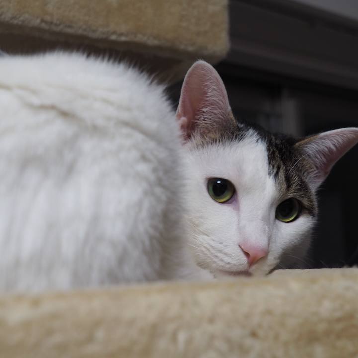 5c684aa4 05c4 4a60 b308 8d79fd5678a8 1515621462304