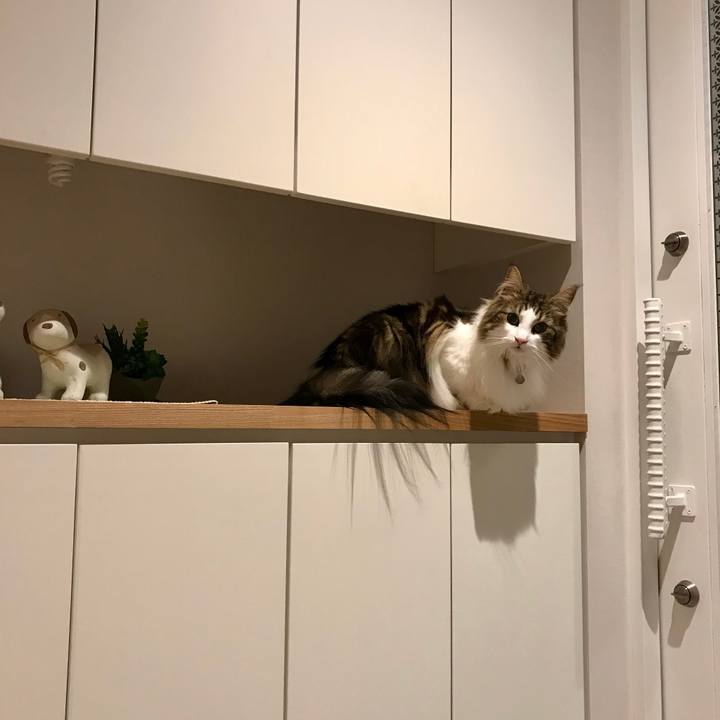 5c685d83 fb95 4948 a1a1 470b5642a91a 1531667262149