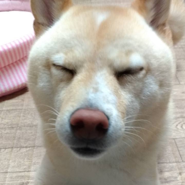 5c68829e 4fd9 4054 8ca2 976cfbab2b81 1595540460254