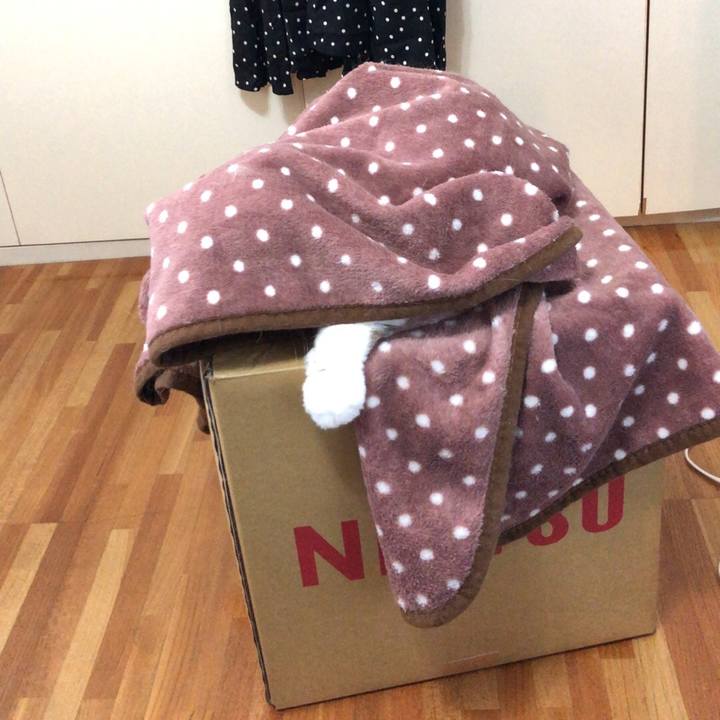 5c689102 5fa9 4b9e 81a6 3633092a918c 1540098912101