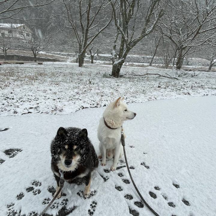 5c68ad4d bbcc 4c6d a051 ff6cd784b40c 1706059814074