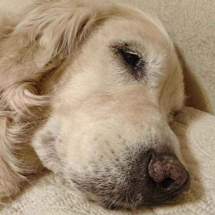 5c68ec67 408f 4d6a b898 e2952614a14e 1550018723523