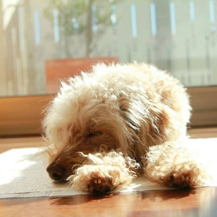 5c6923e7 d440 4996 b885 fc03665e8b6a 1588342581403