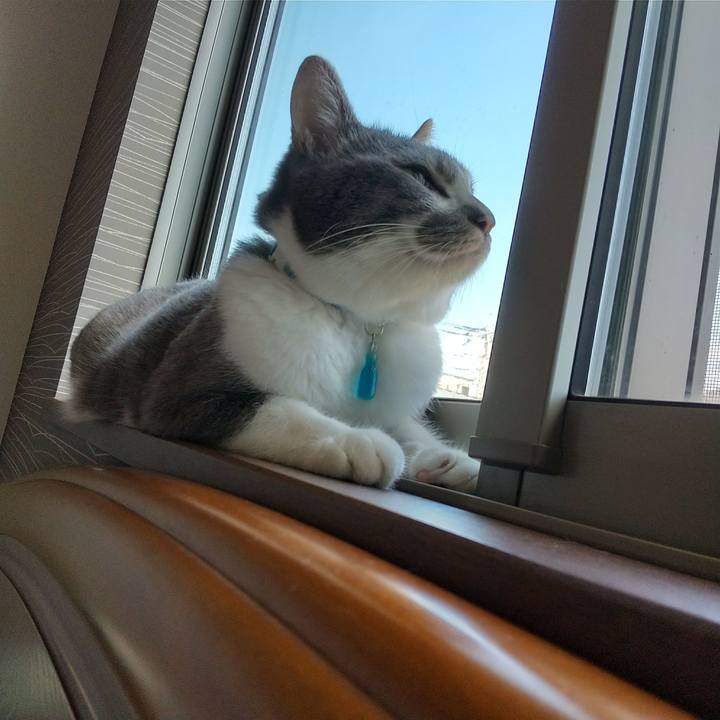 5c695f15 53b2 41dc 9c72 ba380d70d7b2 1628211755933