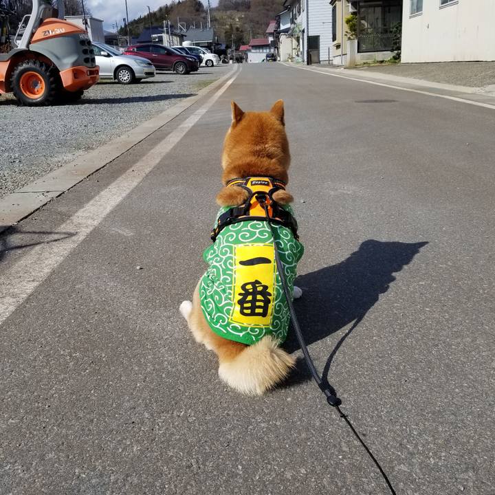 5c69afe7 8253 47af ae84 bc46169569d3 1586067768008