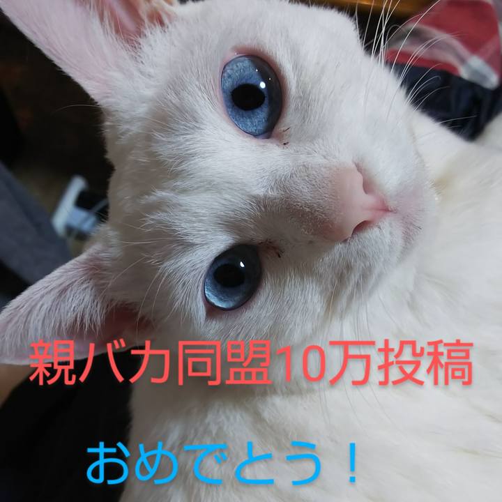 5c69e24e 79a4 4bba 9801 c8f9f76ccd25 1616845035596