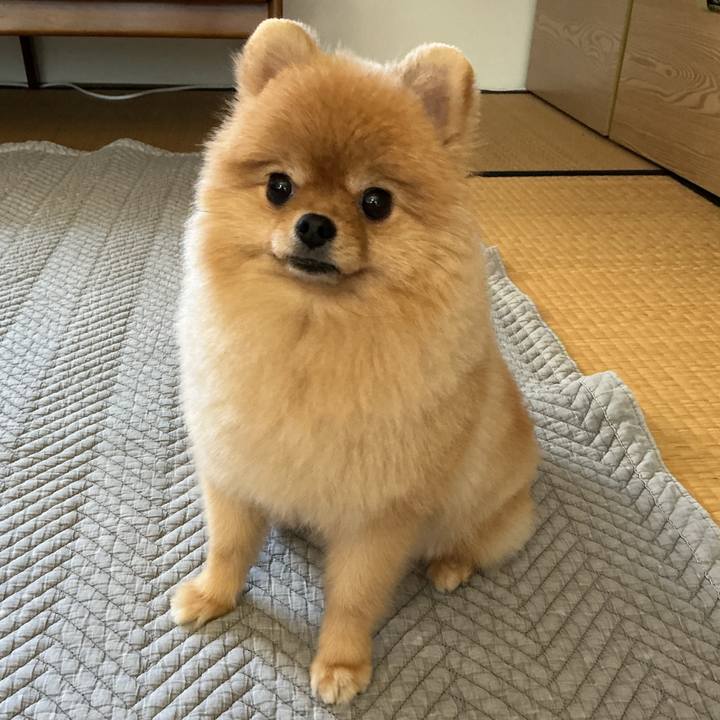 5c6a47cf 1351 429b abf1 8d4e81a7d58c 1758022484677