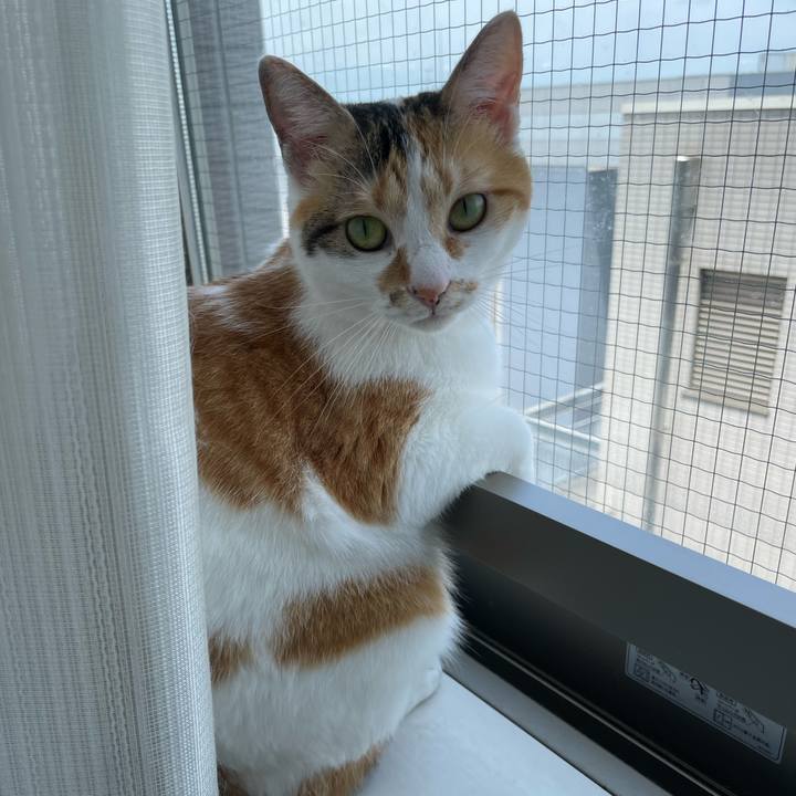 5c6a4a7a bf01 48de 932c 26e156cdd841 1657331673340