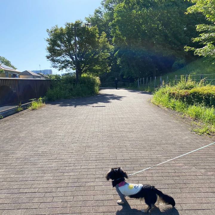 5c6a8c7d 99c4 4a70 b2fa f58b6ba61b37 1683677144735