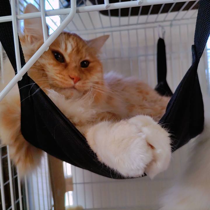 5c6a8e2a 4630 4f66 8a5e 94ff5b778dc6 1682634414444