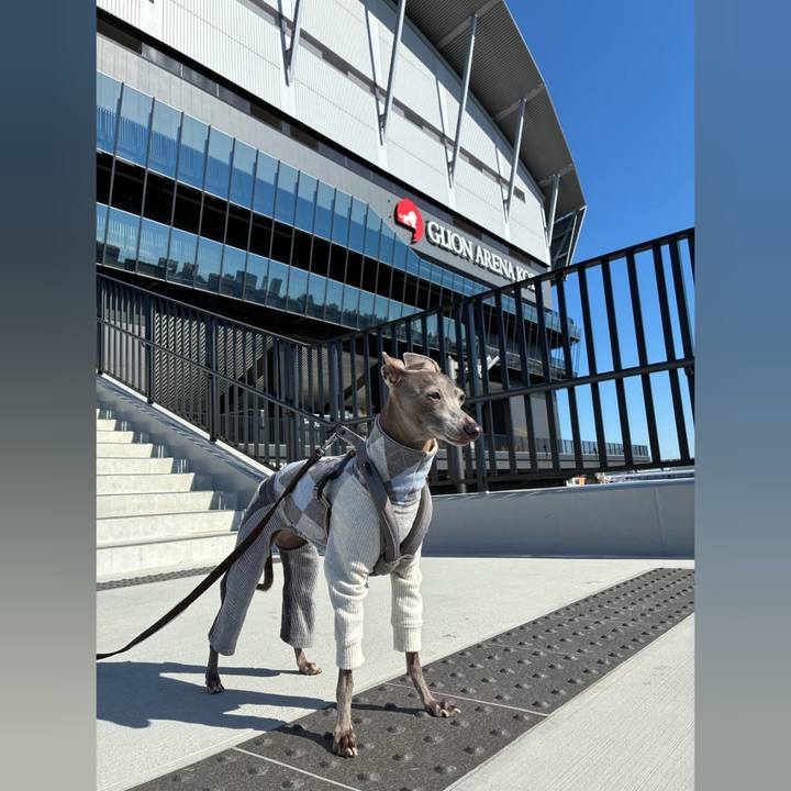 5c6a9098 7383 4871 b19d 7b467b863814 1764678335068