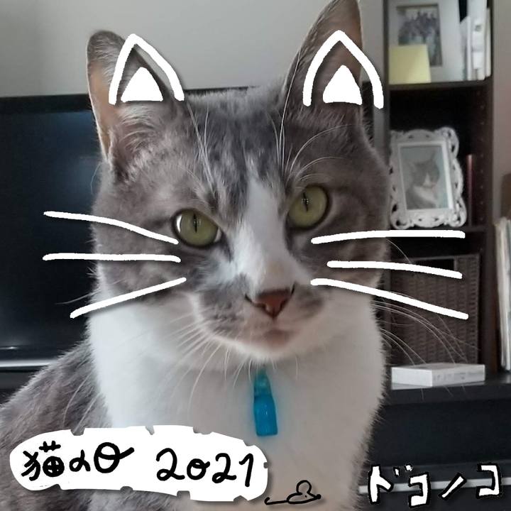 5c6a9bcc a1a0 4c59 b2fd 7f38a9dbbaa7 1613965554324