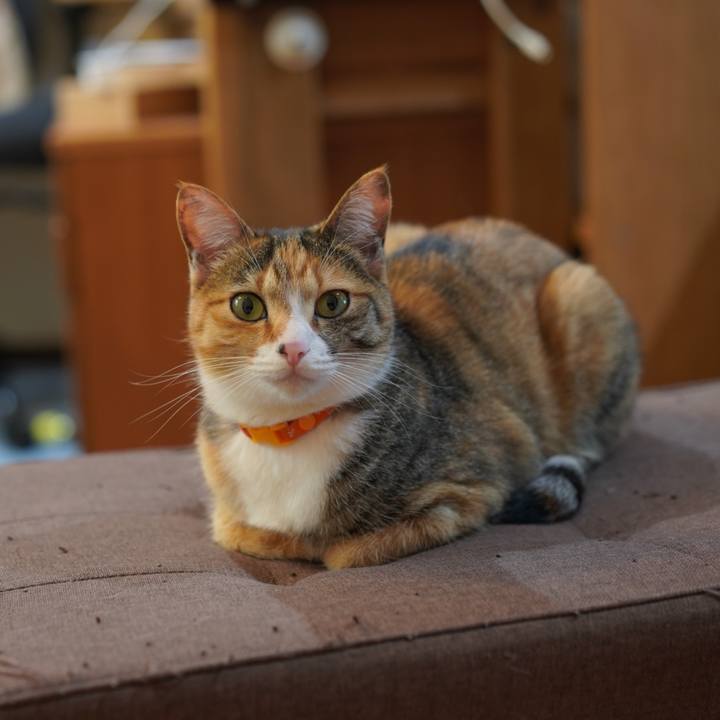 5c6ac0db 6306 4998 8a68 1cdab9d4610c 1618401627533