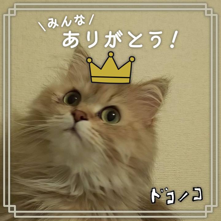 5c6ac5f3 d674 4ec1 9683 514fce497fa9 1622859764708