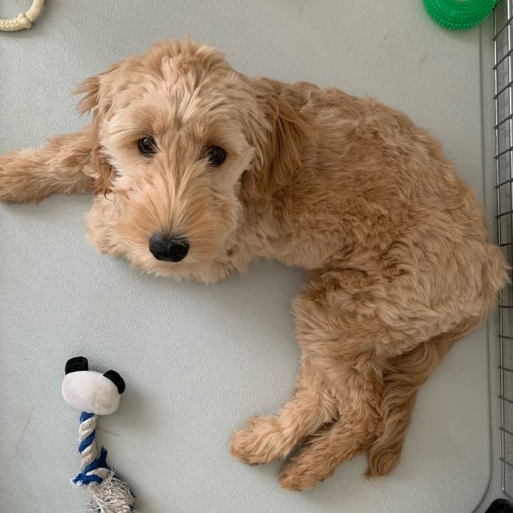 5c6ac820 094f 4aee 830e c67784e6a57f 1682894265934