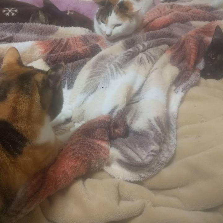 5c6aca0a 2add 4dc5 ab06 264c97e32bce 1769635631699