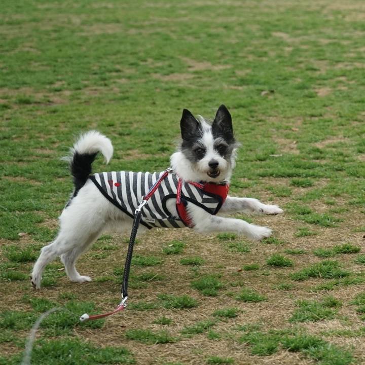 5c6acbcb 4372 41fa ae60 db991becc52c 1712308059383