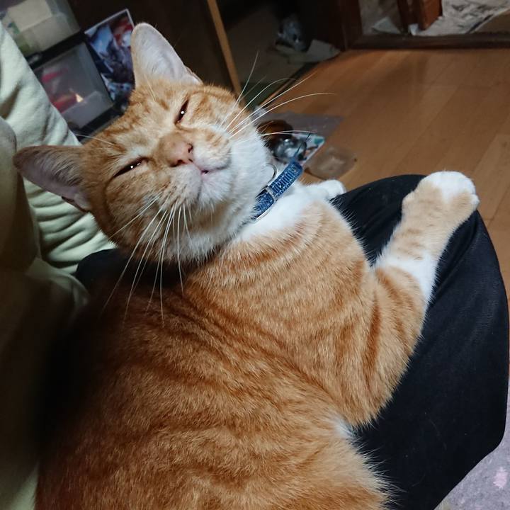 5c6acd3f 1ffc 4bba a85b 720469dc9f85 1602618819821