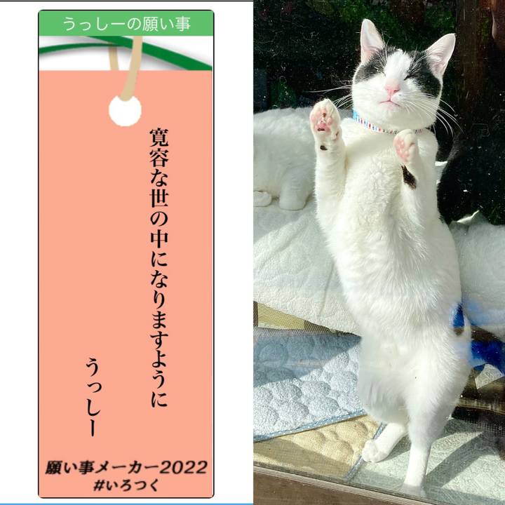 5c6ad2fe 23c2 45b5 ab7a a38967a6dcf1 1657057648217