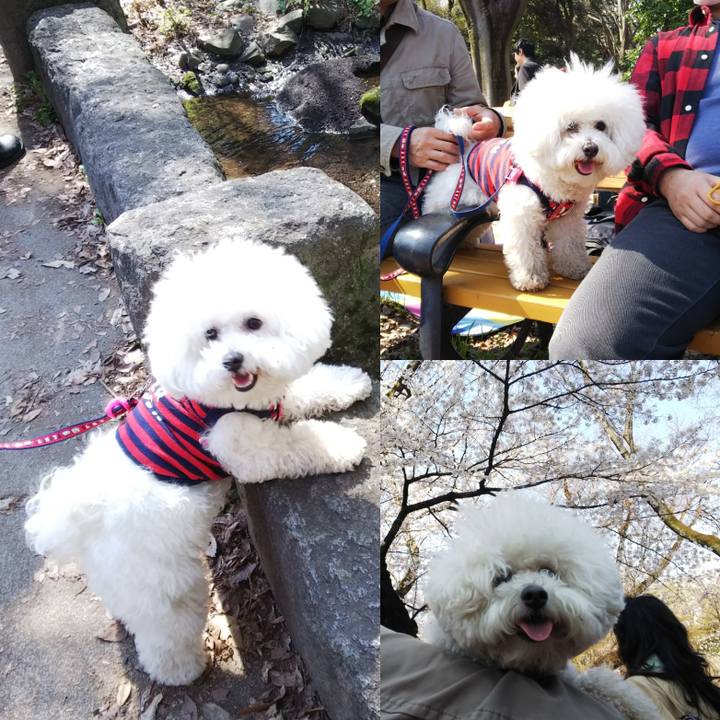 5c6aedf4 432b 48c0 8b76 6a495b6d7123 1522057597178