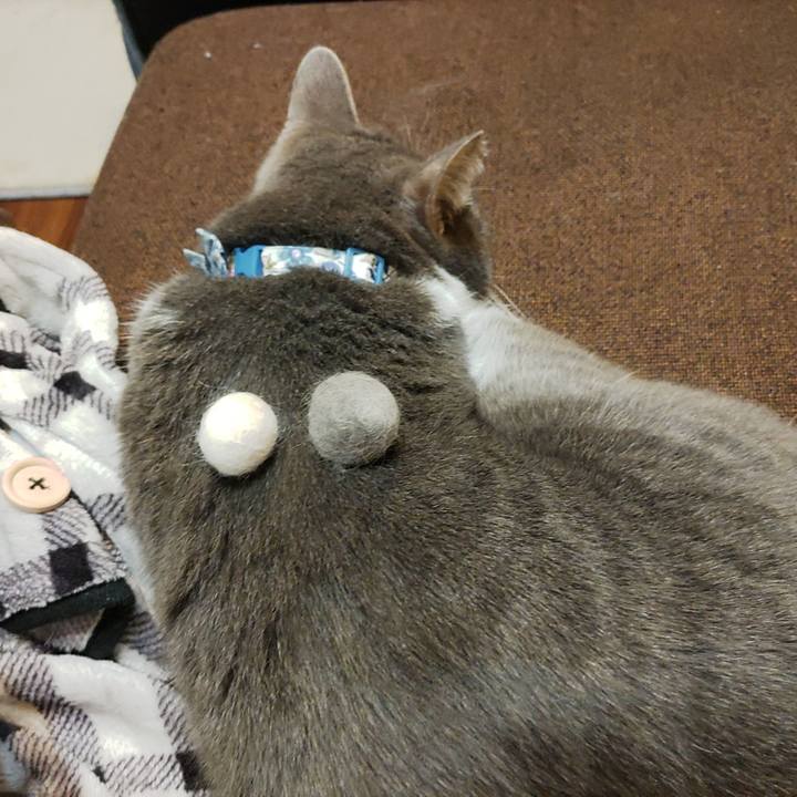 5c6b455c 23e3 4a31 b356 a2bc4e97ffdc 1681568072325