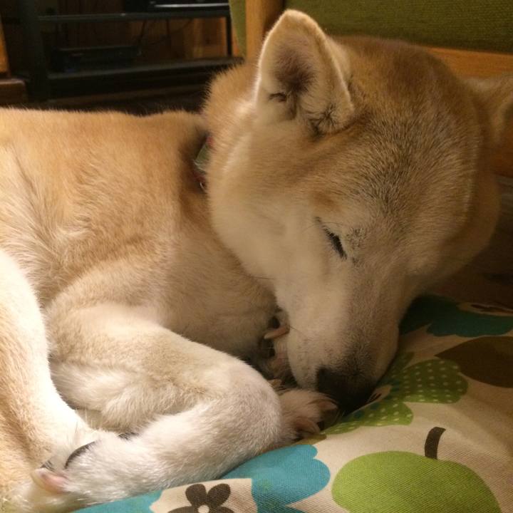 5c6b653a 47af 4c32 bc19 f94ed20b7913 1549545946951