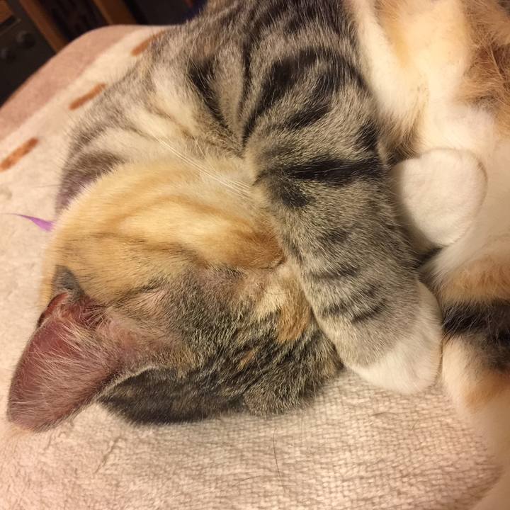 5c6b7038 1f06 4a34 a9bf 869a25922b4a 1558624893818