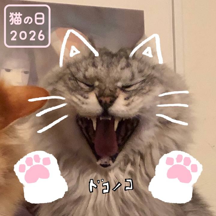 5c6bc26b a68e 40fa 9b73 739edaf19e1a 1771759429384