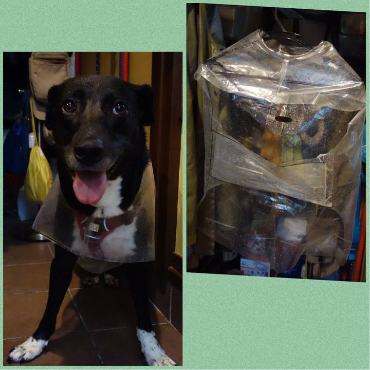 5c6c280e 7abf 499d b87c 5b169aaeeb20 1625097745554