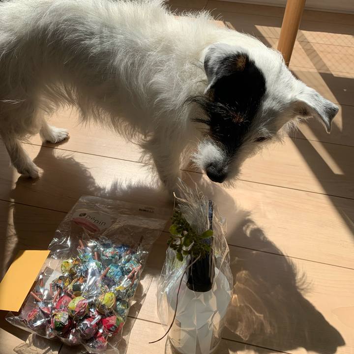 5c6c344f 2072 4f47 8024 508b4df1d676 1591247613182