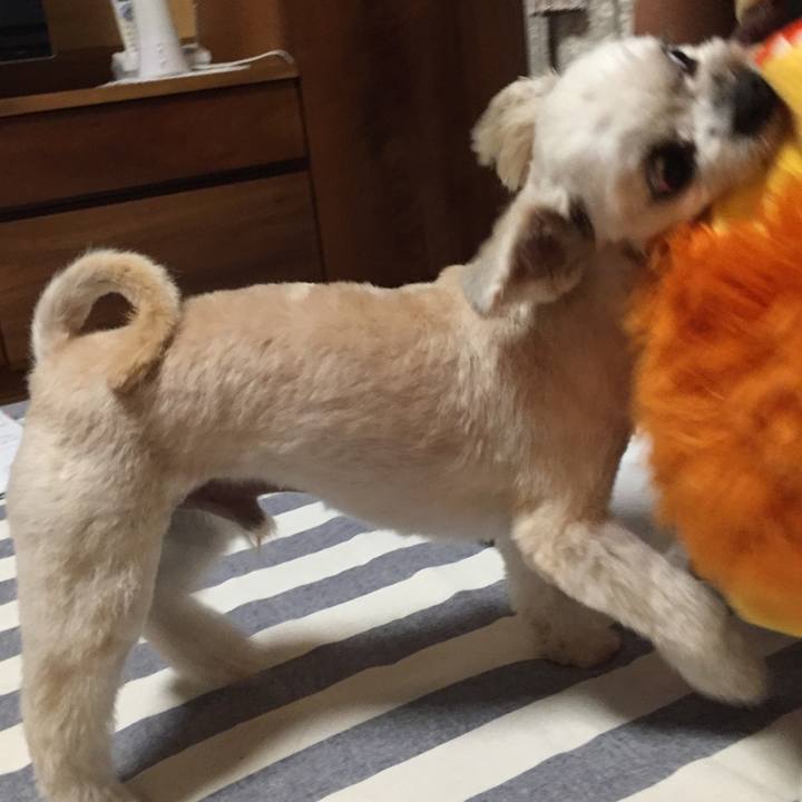 5c6c67ef 30da 48ff a0a8 d8c940578731 1567163214427