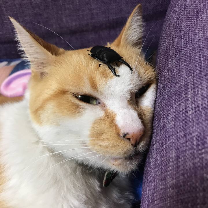 5c6c7608 f362 49b8 96b3 13a0f1e46932 1537531607738