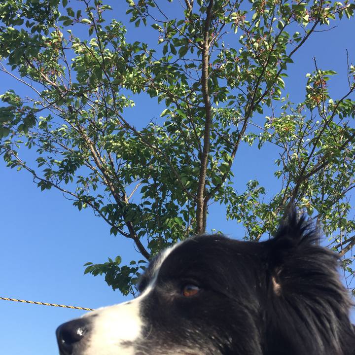 5c6cfbd5 6b15 455f b3a3 3d61d8961239 1525992285391