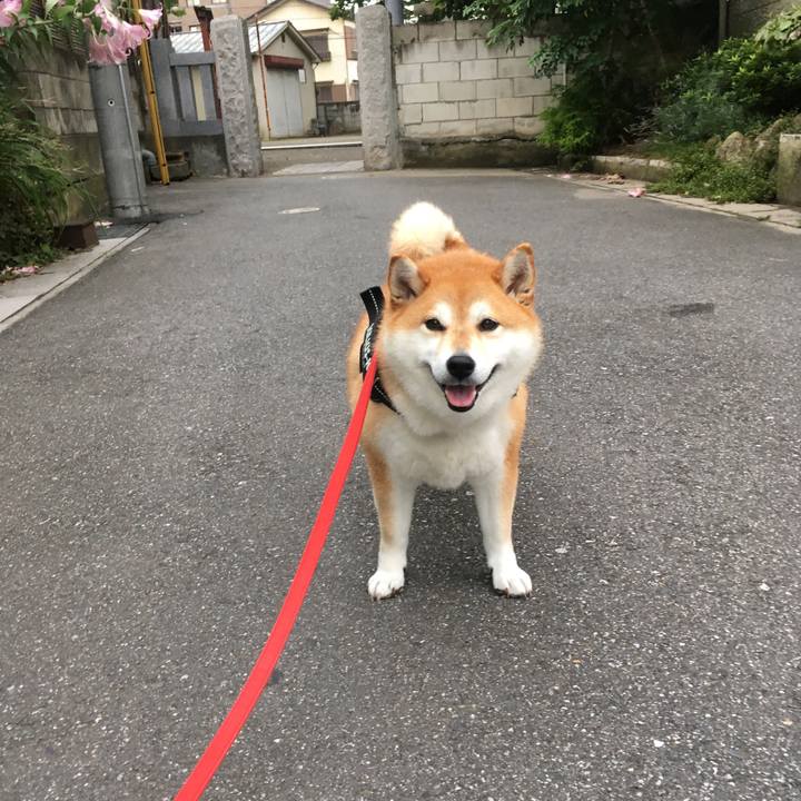 5c6cfcea cc6e 47ff 8b0b 1514ac64fa46 1593854390624