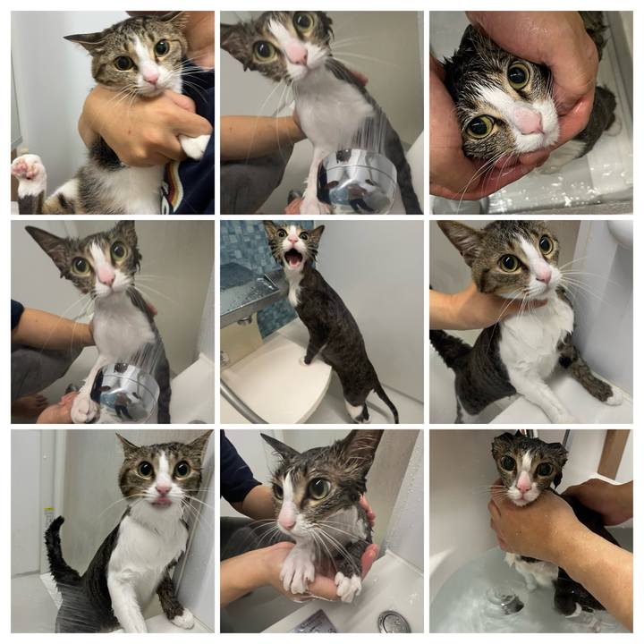 5c6d3510 838f 4c68 8837 f2c4e3f5404e 1760538773653