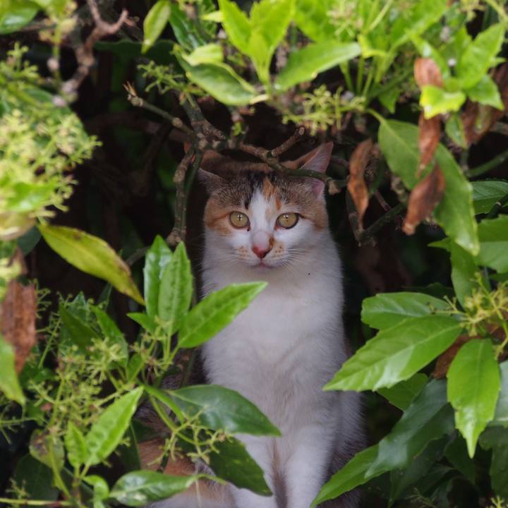 5c6d7022 57bf 4788 926c 5c2fb3699e1a 1589120932233