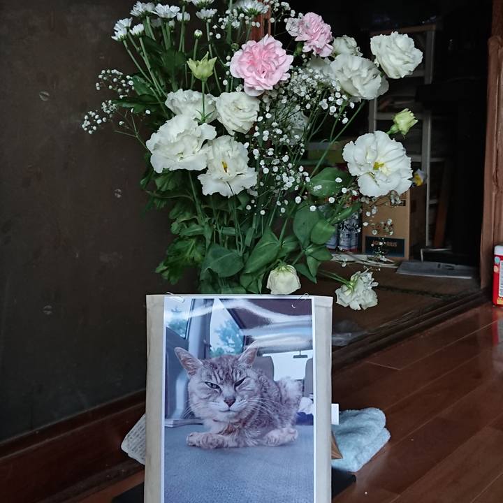 5c6d809c 2fd3 4600 a174 764f56916793 1599291103247