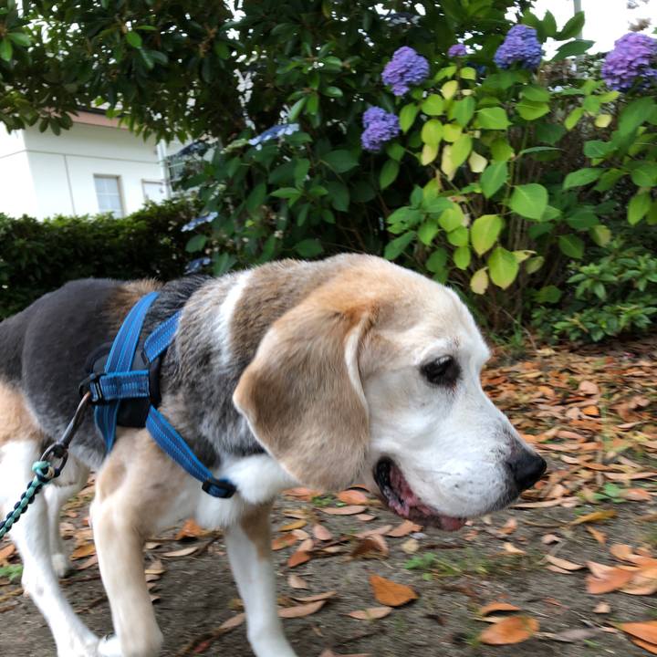 5c6d98dc 72bf 4c55 b760 ce529b839a24 1624918255043