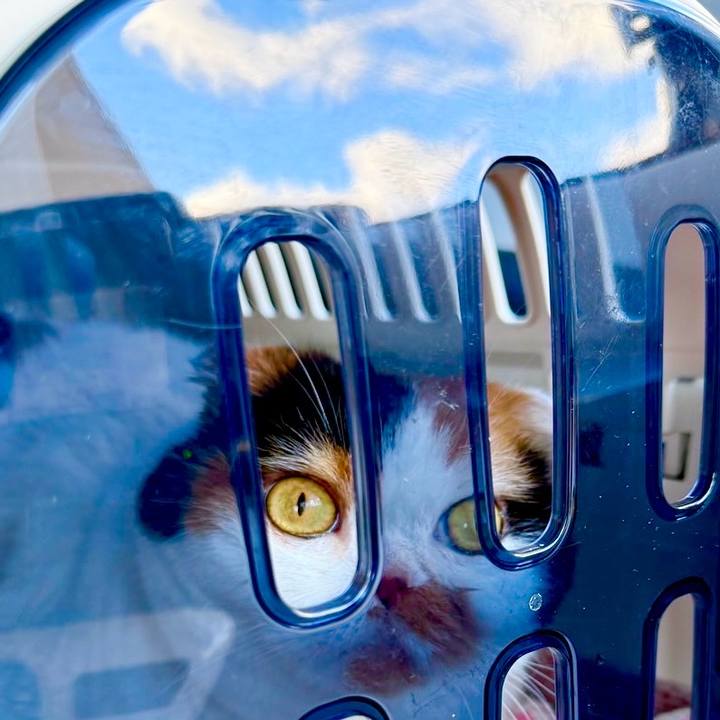 5c6dac80 c4bb 40e9 a283 4bf2ca520eb8 1732363870875