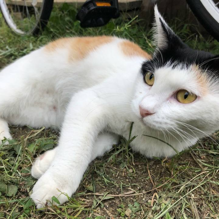 5c6db5c3 1964 42f7 86de 7e350bd765a7 1600163826514