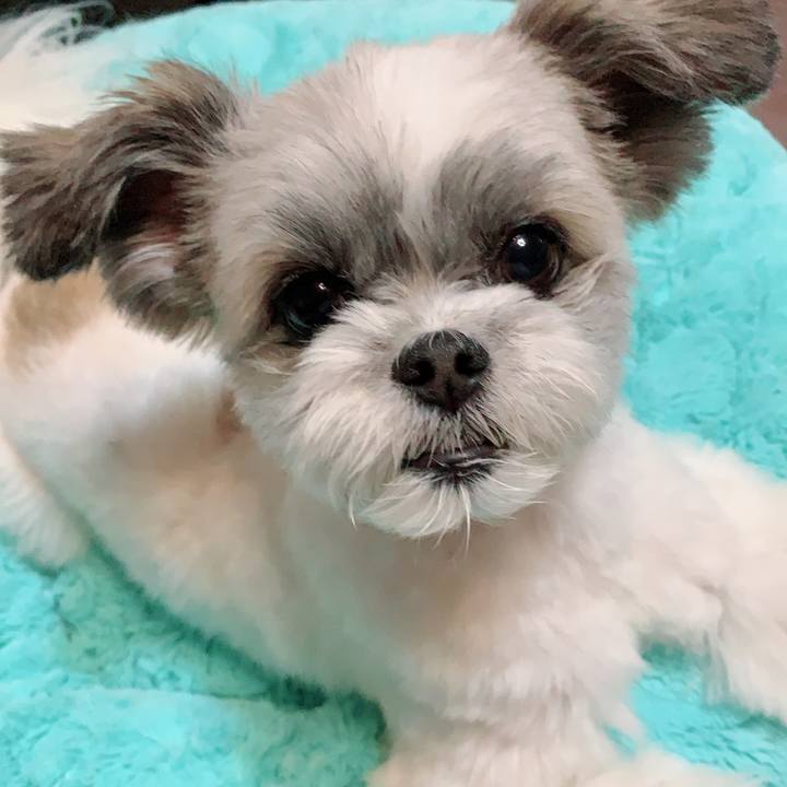 5c6db727 3f45 4c0e bf53 6413c4f397a8 1562078333671