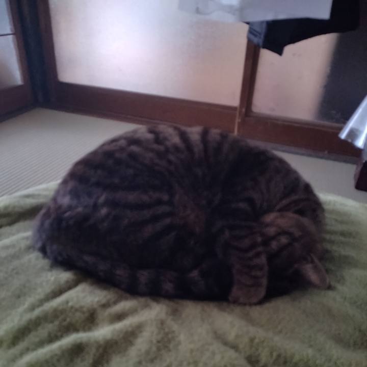 5c6de285 da36 447b 953f 448a3da826e5 1679702868884